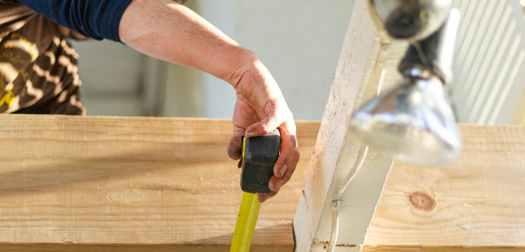 person holding black and green power tool